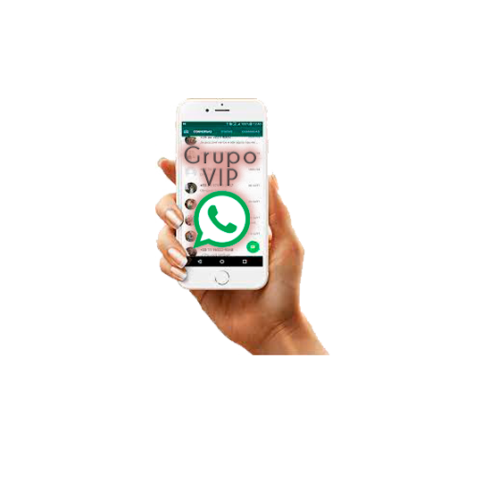 grupo vip